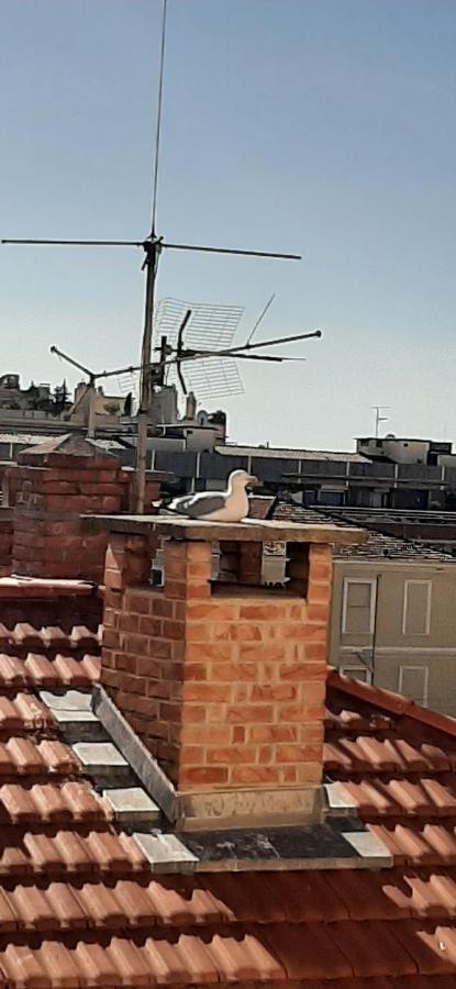 Le Petit Citron Διαμέρισμα Μεντόν Εξωτερικό φωτογραφία